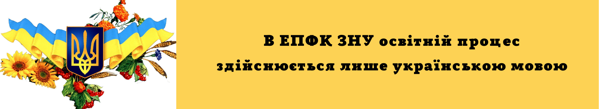 В ЕПФК ЗНУ освітній процес здійснюється лише українською мовою (1)